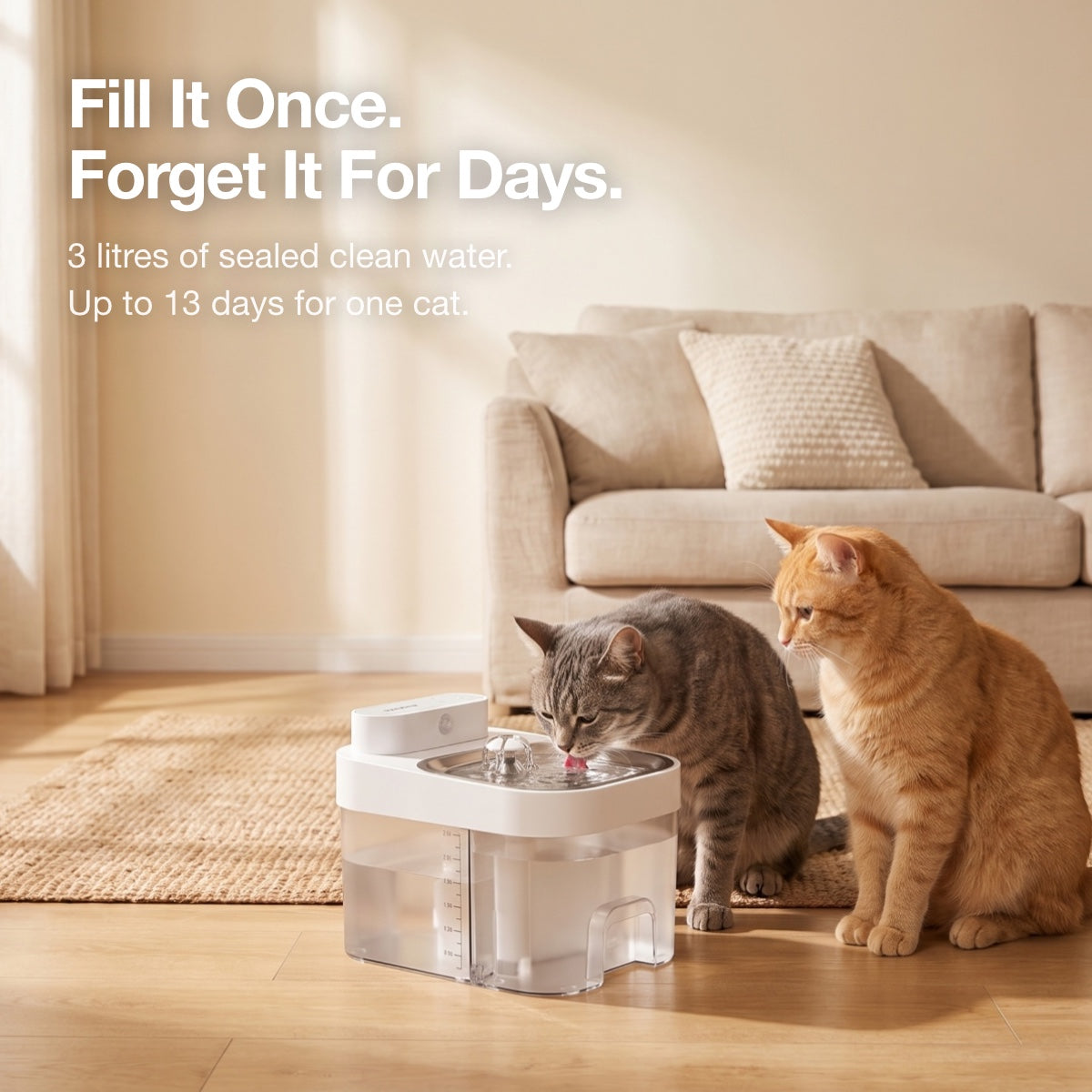 Fill it once, forget it for days. Two cats at the fountain
